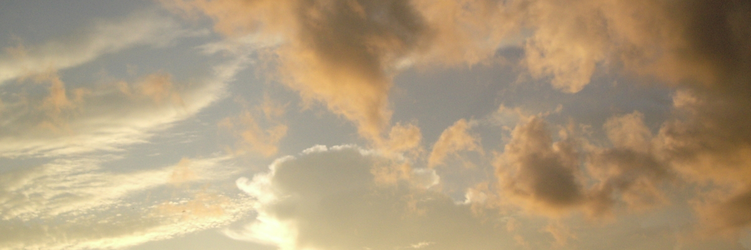 michaelirucokak's profile banner image