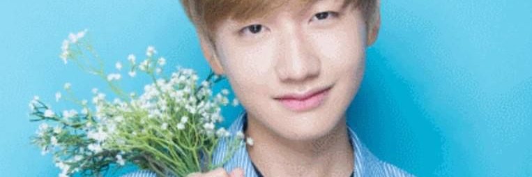 Chaeidgaf's profile banner image