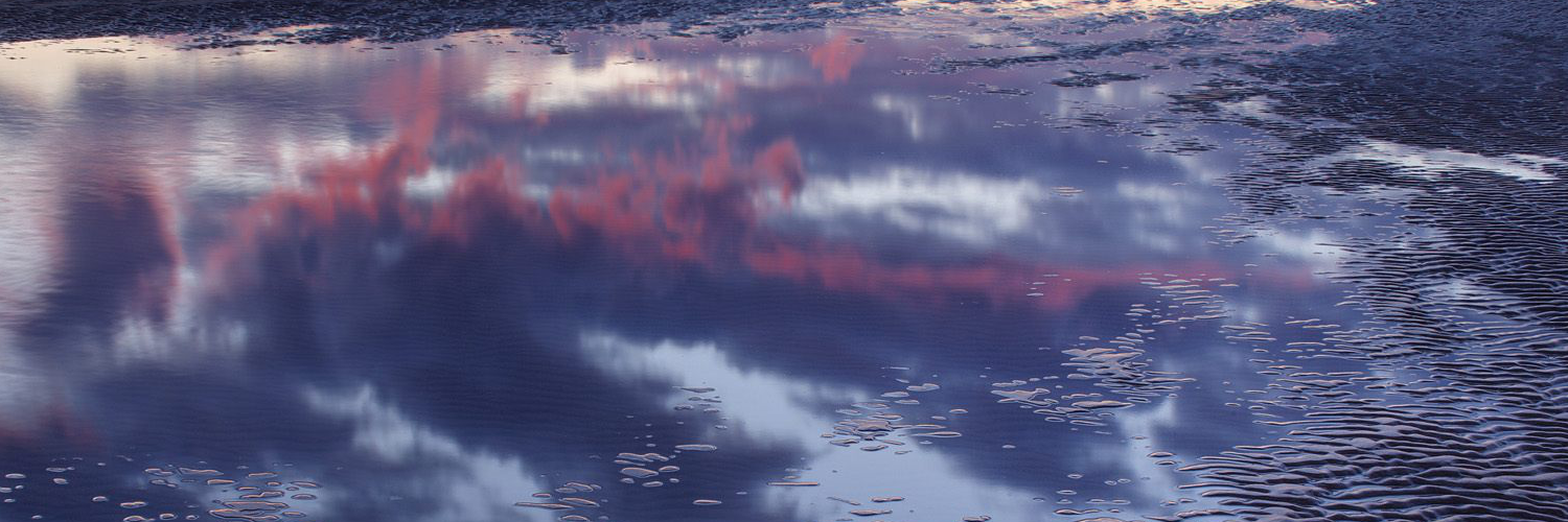 Анна Макарова banner