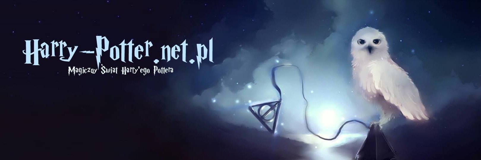 hpnetpl's profile banner image
