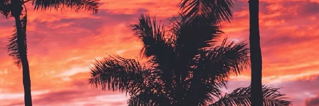 Que_Mosca's profile banner image