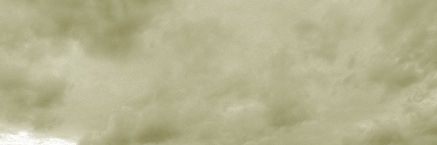 Елена Григорьева banner