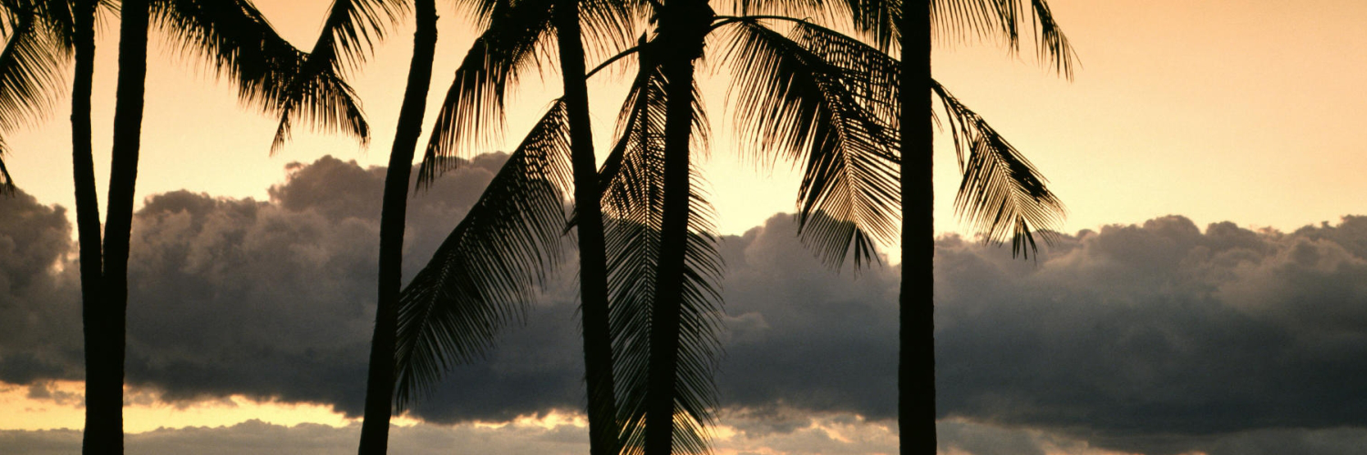 davidetiweror's profile banner image