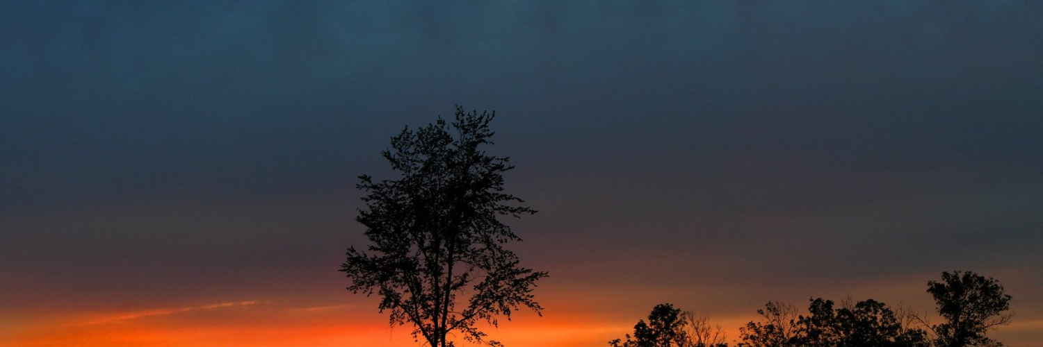 jeffopivesin's profile banner image