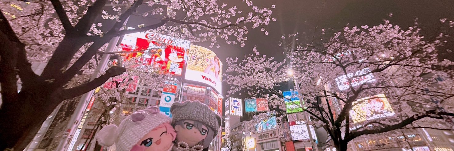 sarinokata's profile banner image