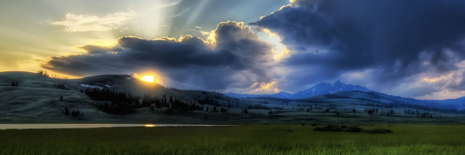 Катя Сорокина banner