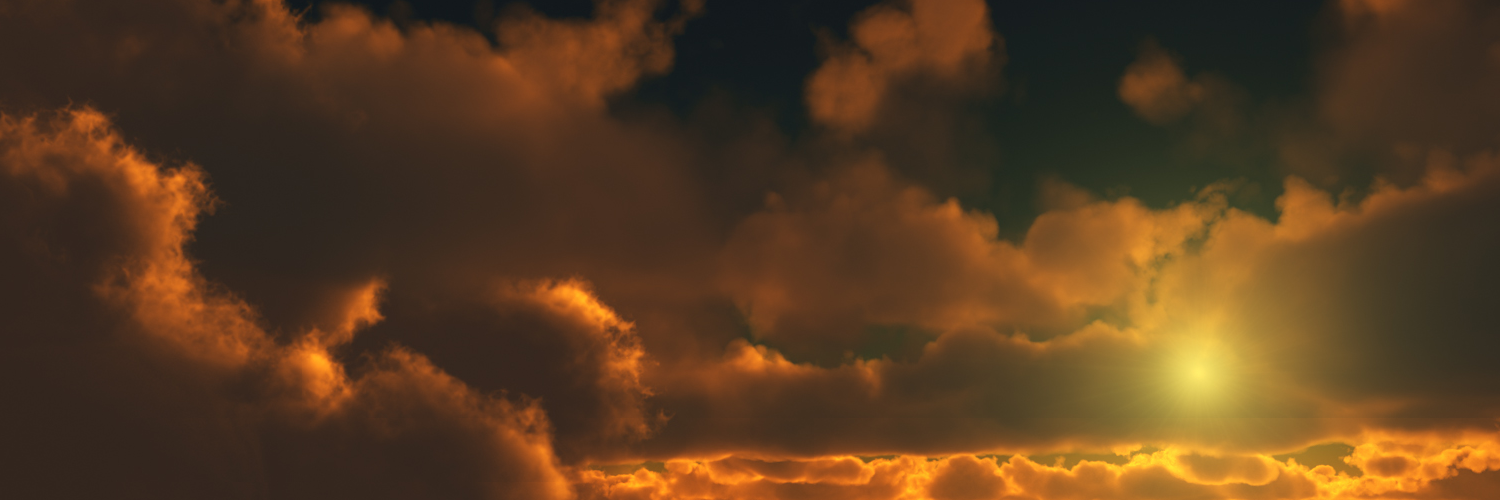 Ольга Васильева banner