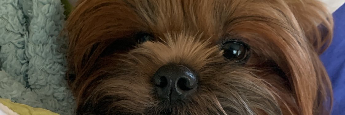 ezrajerina's profile banner image
