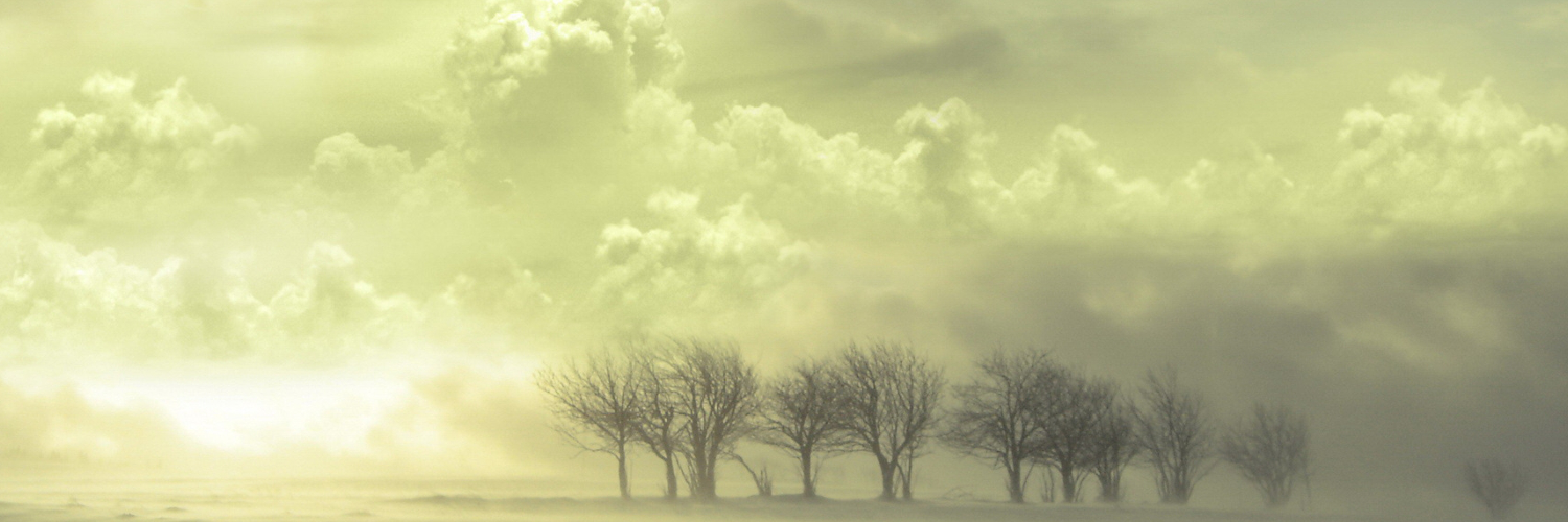 robertibekocey's profile banner image