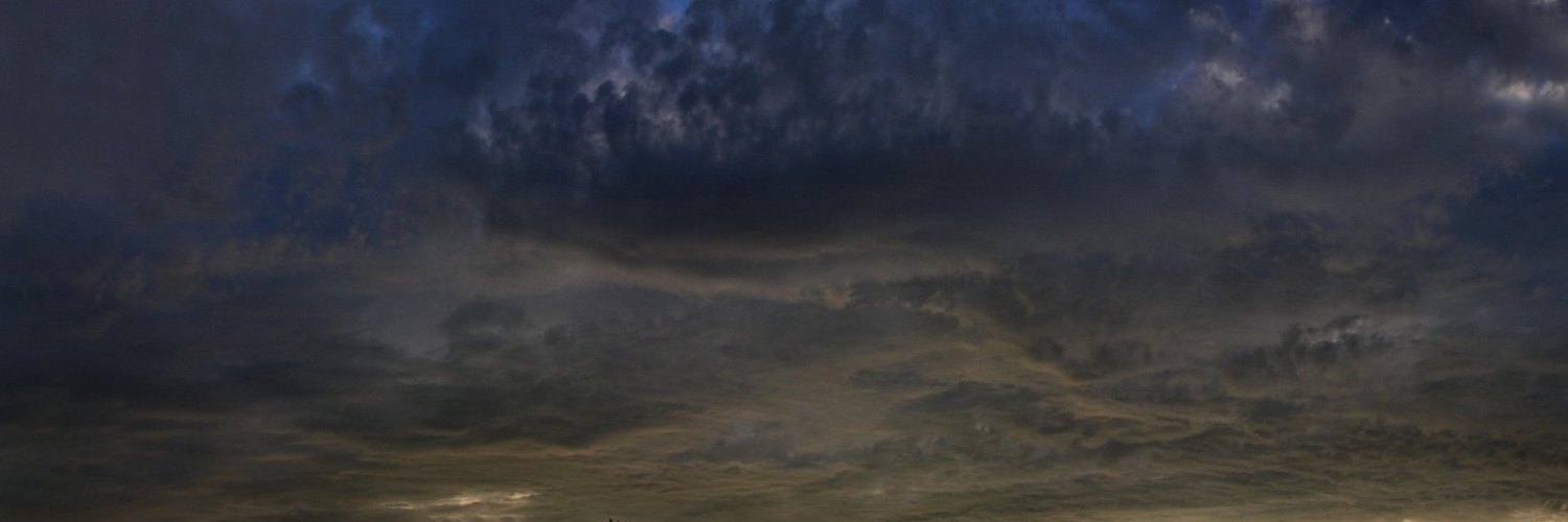 robertapeyejud's profile banner image
