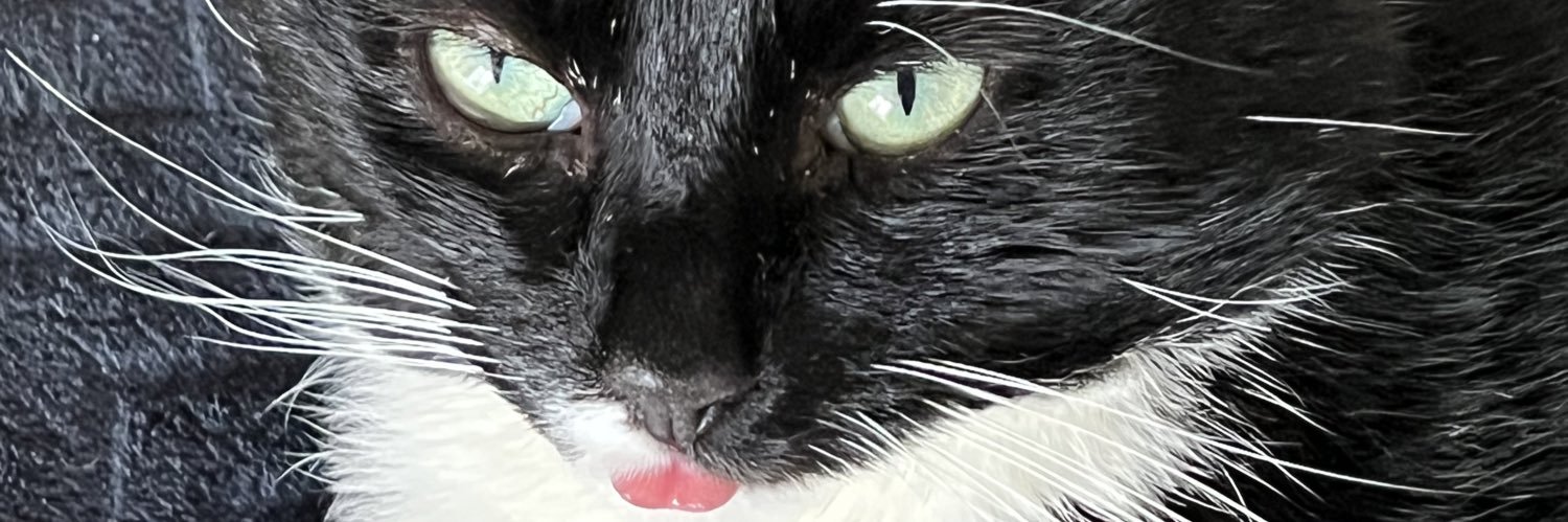 JUST3RS's profile banner image