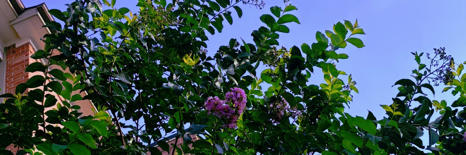 amayaa33's profile banner image