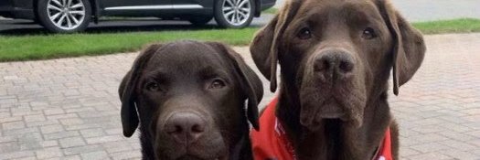 Dr. Naveen Eipe, MD banner