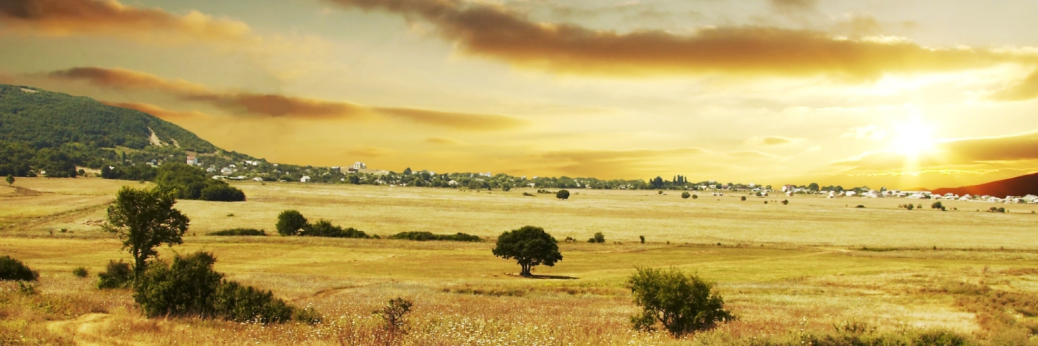 brianemabupip's profile banner image