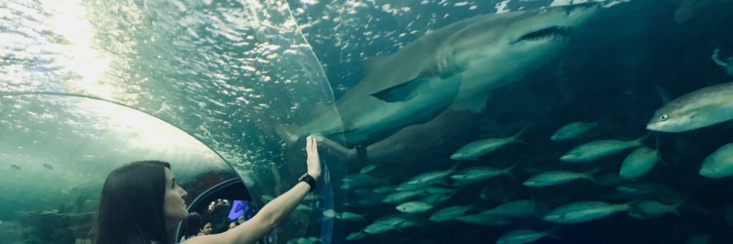 Ms Kerri Mercer JRI banner