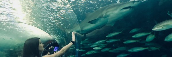 ScienceMercer Profile Banner