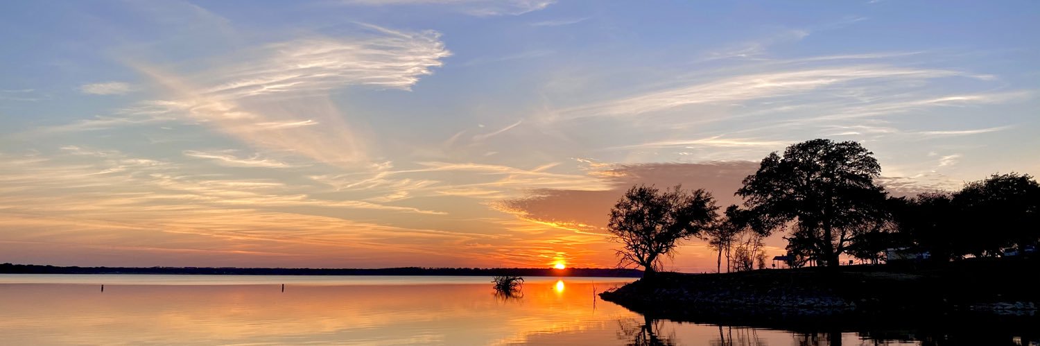 EliseBarone's profile banner image