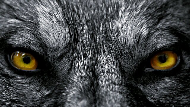 Krielhub's profile banner image