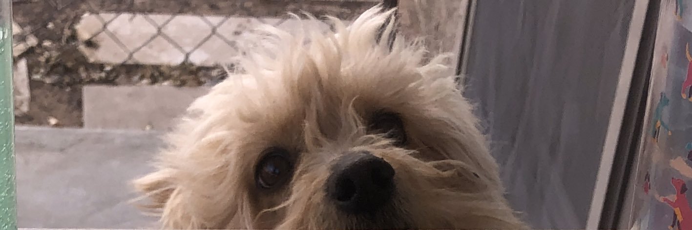 Jennypenny_0's profile banner image
