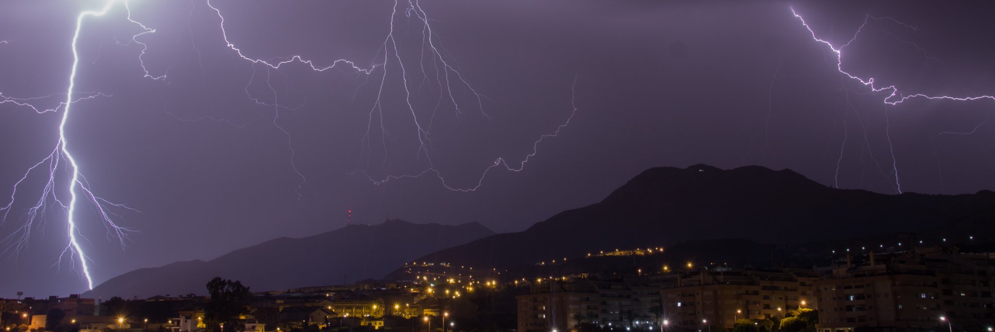 Carlos Freire banner