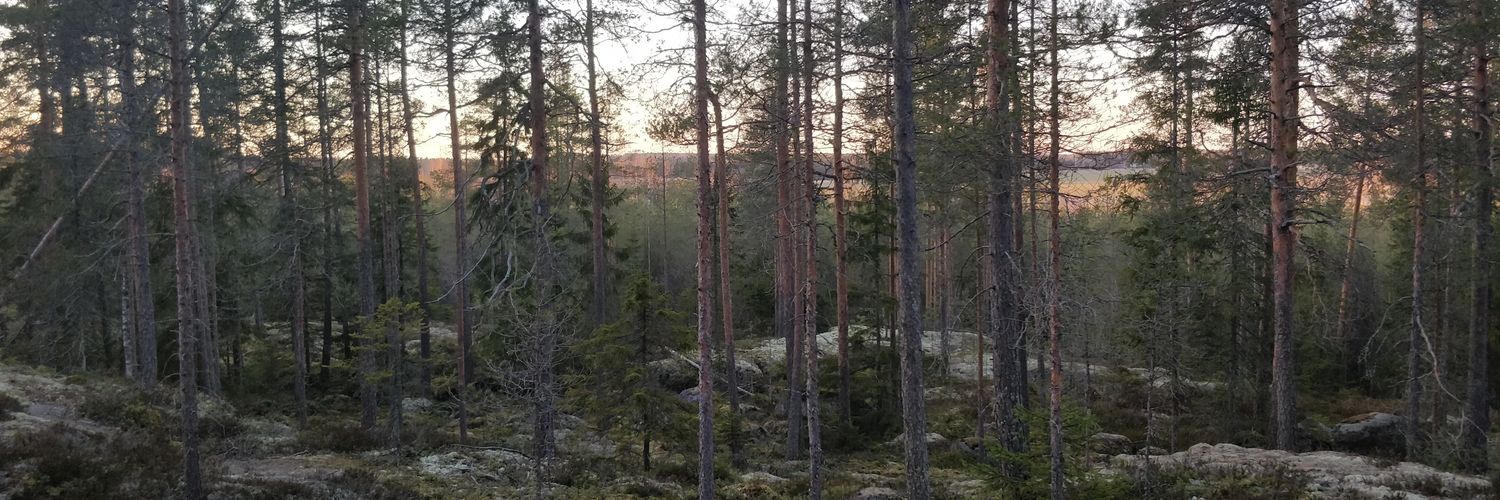 KAlaranta's profile banner image
