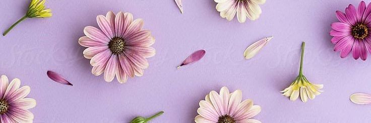 sony_lopez14's profile banner image