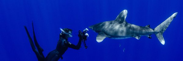 emmafcamp Profile Banner