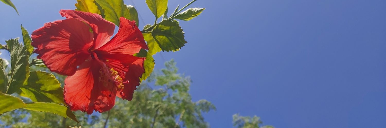 Wlayti's profile banner image