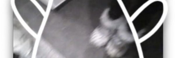 loneprimus Profile Banner