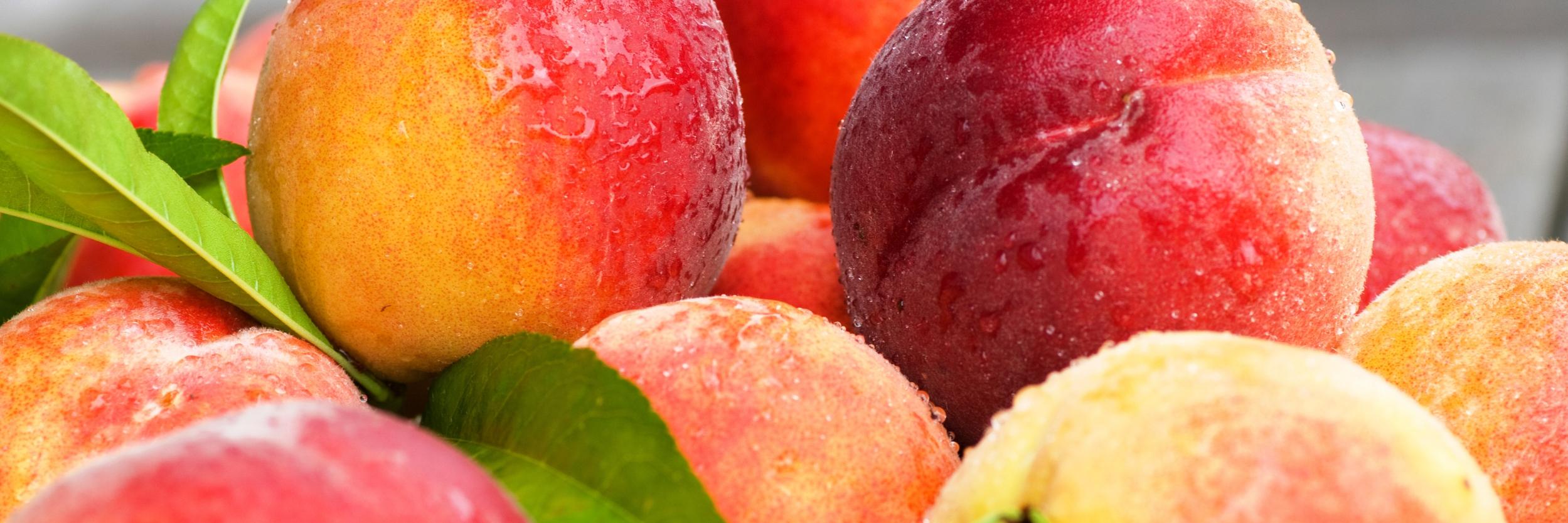 Jesus Carriqui banner