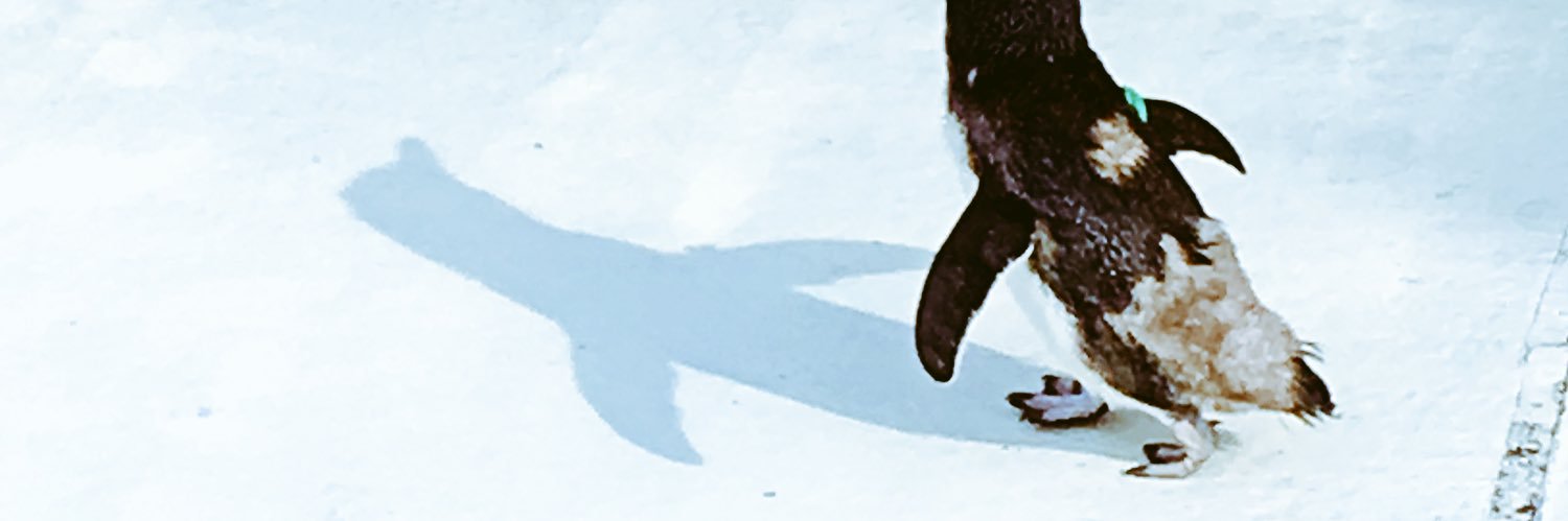 pan_pan_da's profile banner image
