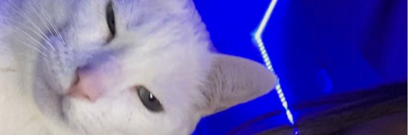 charismaalacey's profile banner image