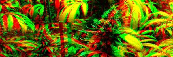 dolan_deluca's profile banner image