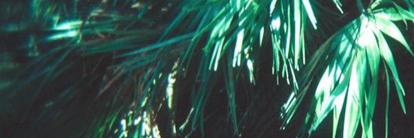amyhoward_'s profile banner image
