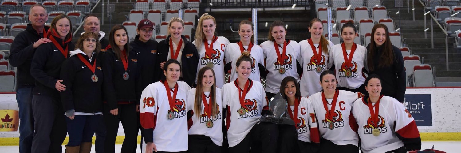 UofC Dinos Ringette banner