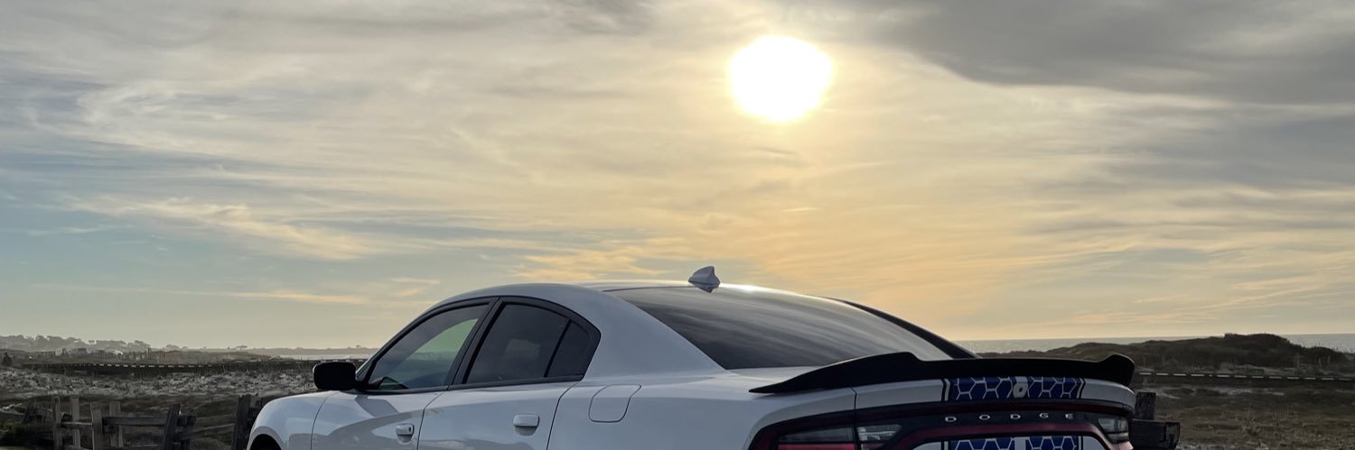 assdrez's profile banner image