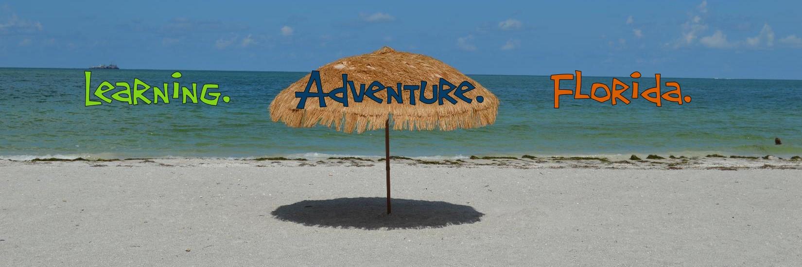brainytourist's profile banner image
