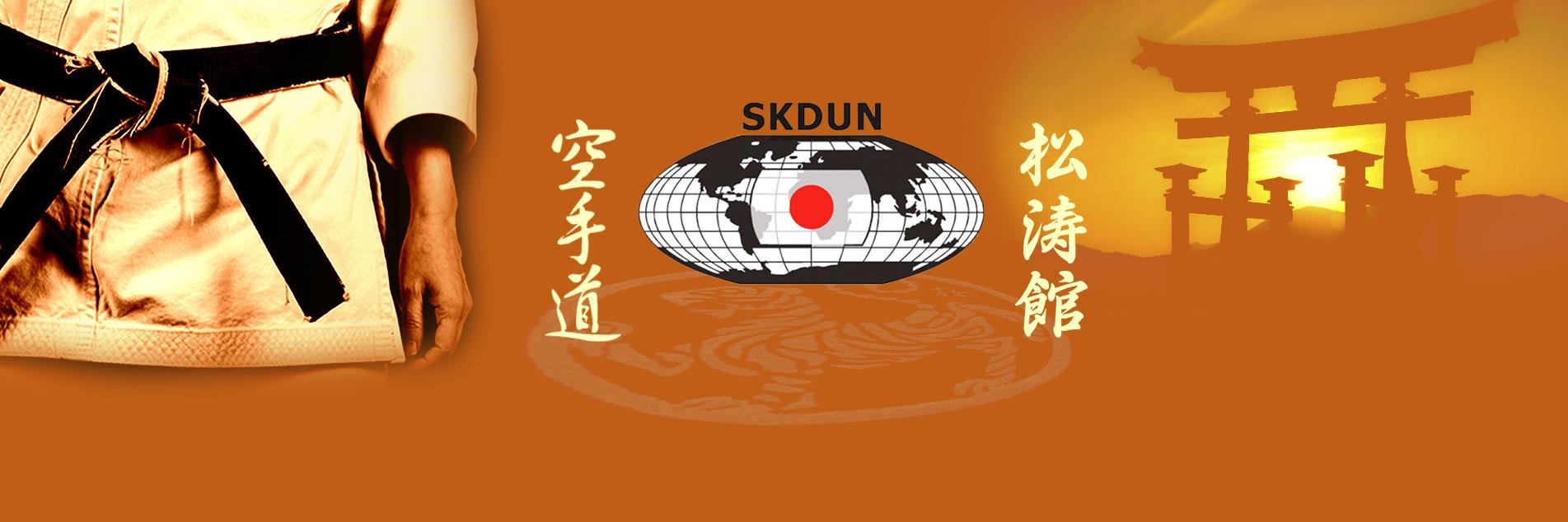 SKDUNorg's profile banner image