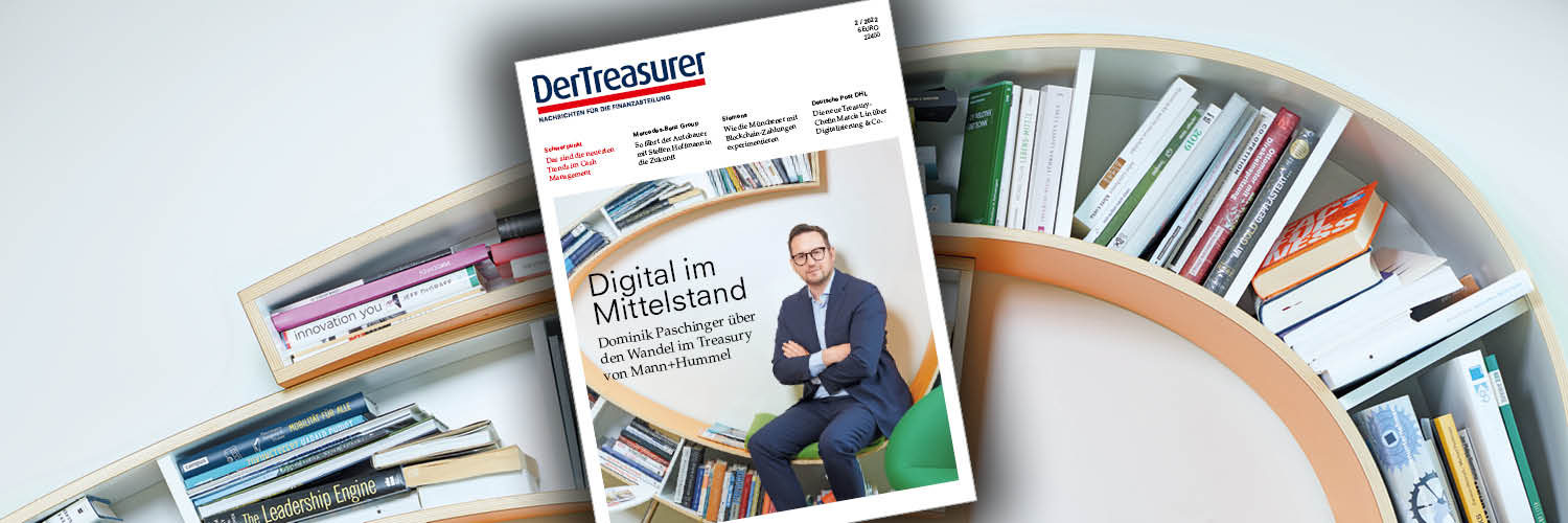 DerTreasurer banner