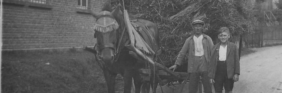 Eka50 🇩🇪 banner