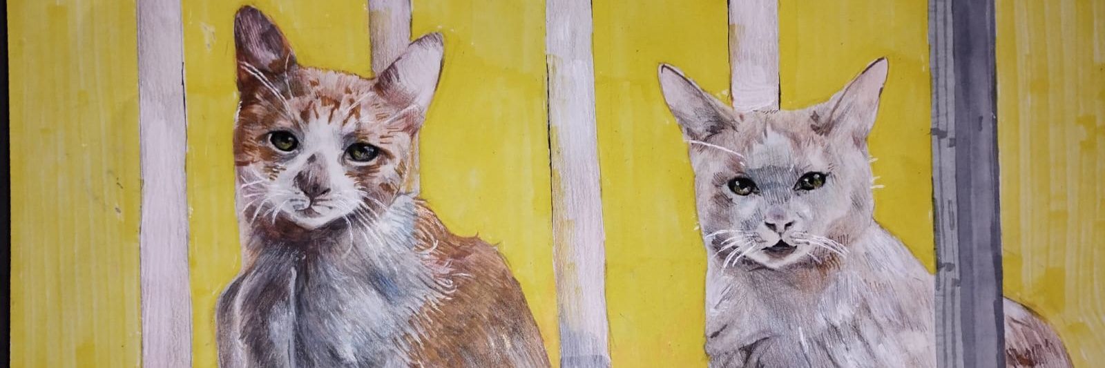 Davi :) 😎✋ banner