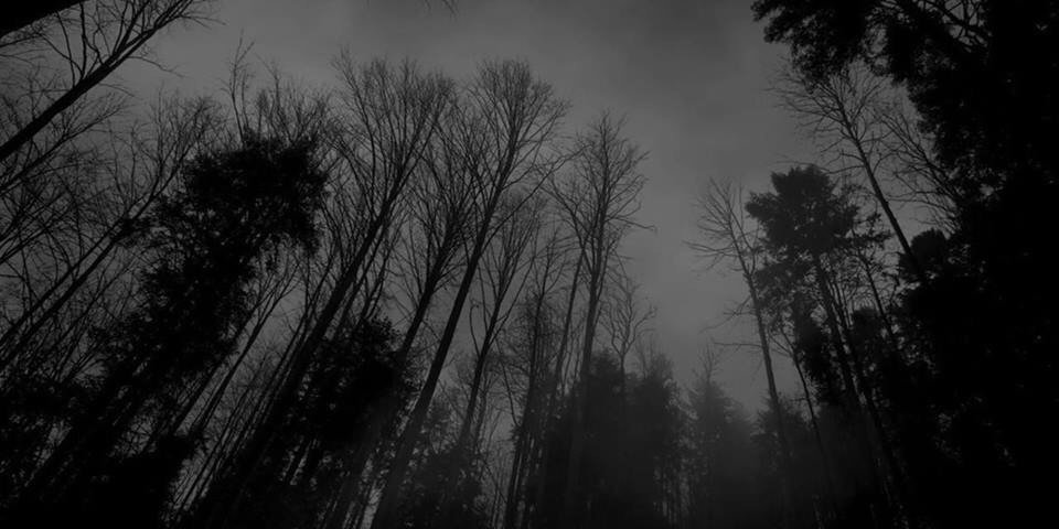 kerryRPGDSL's profile banner image