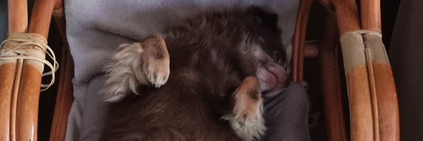 vicek1906 Profile Banner