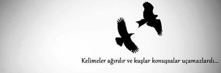 gönül_heybem🍂 banner