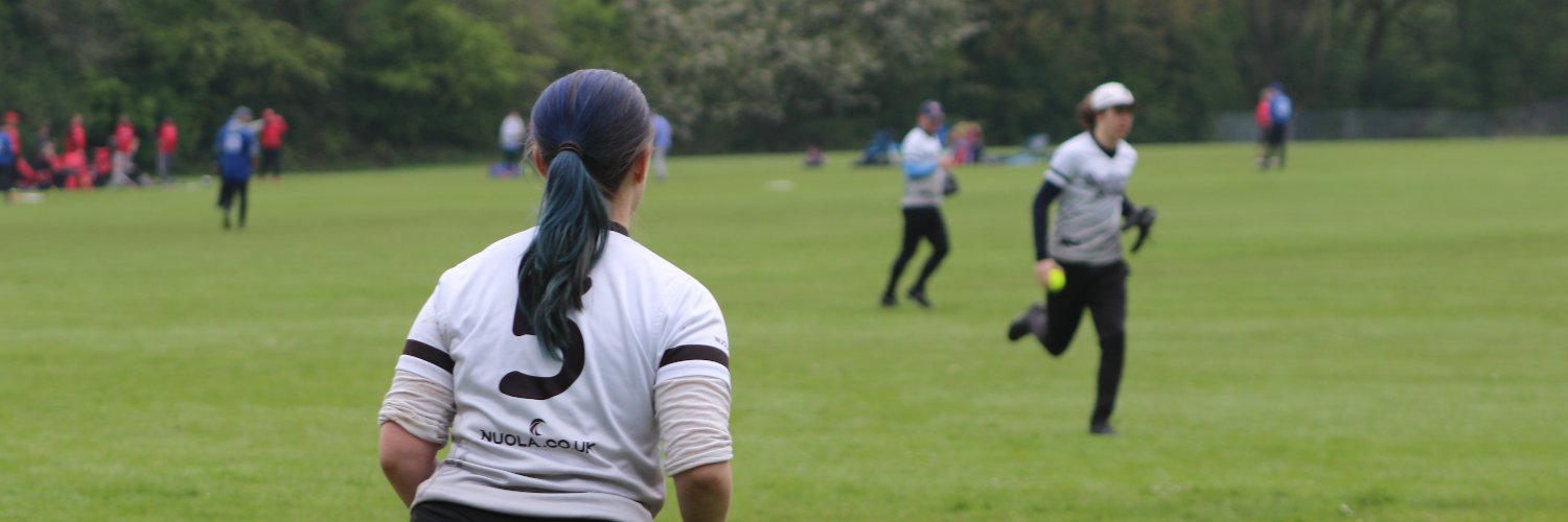 Manchester Softball banner