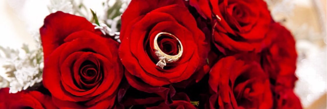 ashleyTrapp23's profile banner image