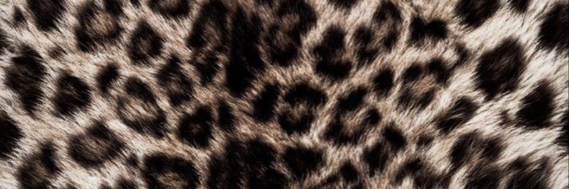 AdetaMarie's profile banner image