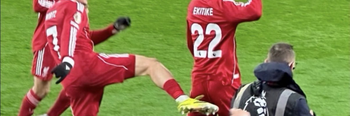 🦖 banner
