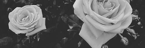 lissofobica's profile banner image