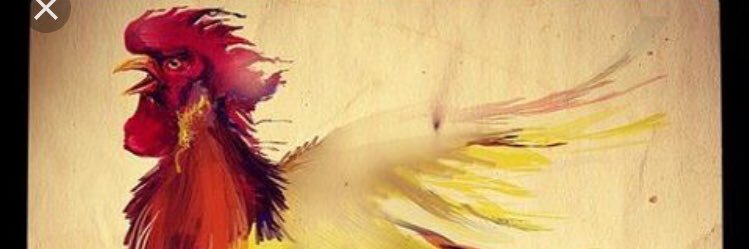 CharleyFunny's profile banner image